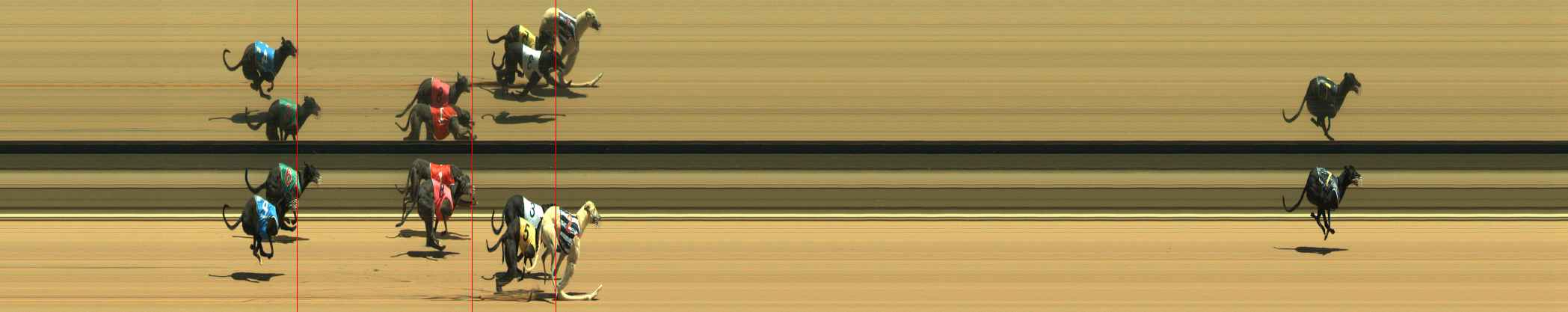 Race result finish photo